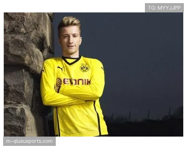 老将罗伊斯回归威斯特法伦，接受全场球迷起立致敬。